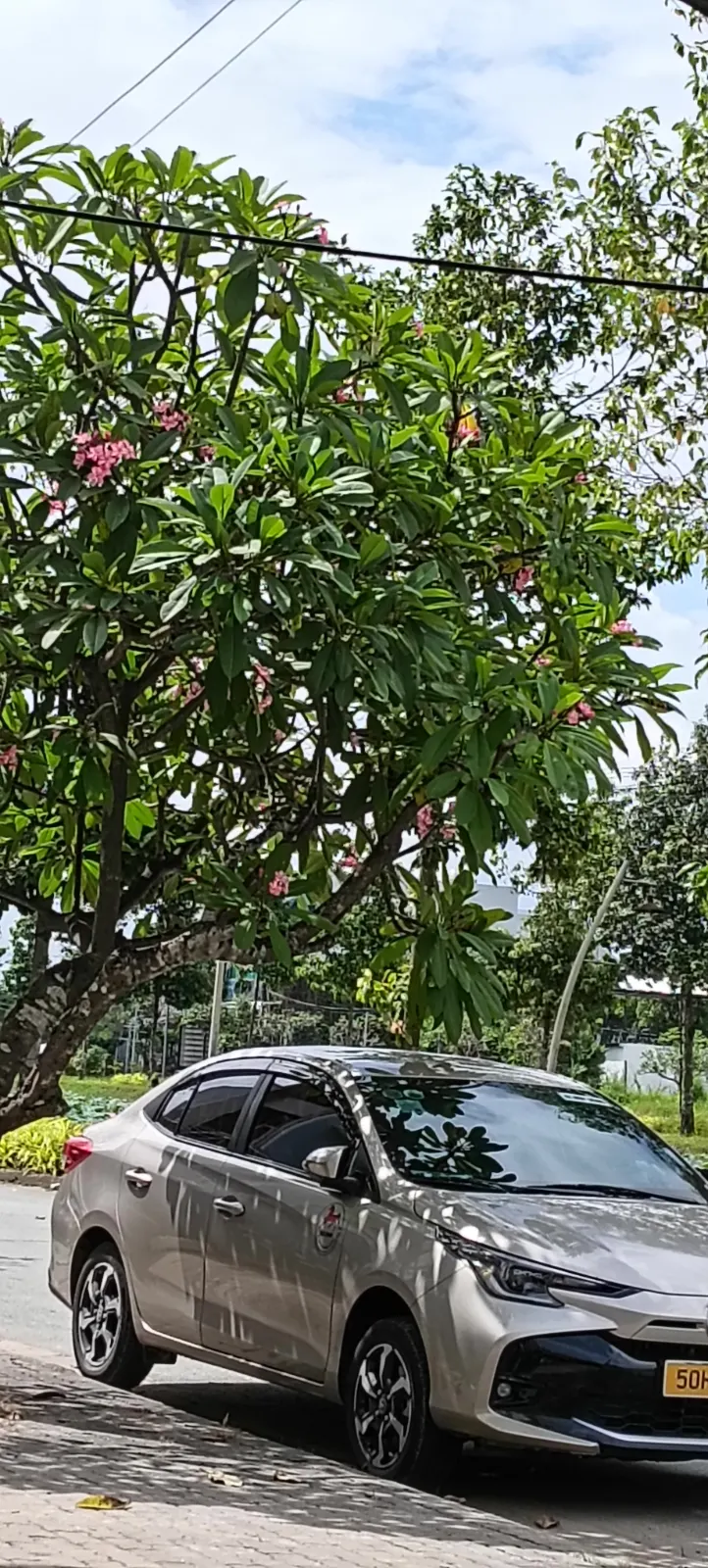 Bán đất làng sen long an, góc 2MT 5.6x15m chính chủ chỉ 1ty150